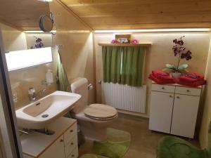 Koupelna v ubytování Apartment Steimandli by Interhome