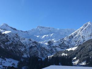 uma serra coberta de neve com árvores em primeiro plano em Apartment Hari by Interhome em Adelboden