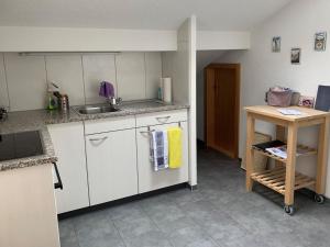 Kuchyň nebo kuchyňský kout v ubytování Apartment Hari by Interhome