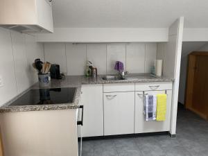 Kuchyň nebo kuchyňský kout v ubytování Apartment Hari by Interhome