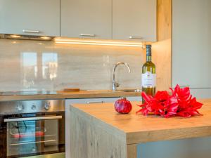 Kuchyň nebo kuchyňský kout v ubytování Villa Vali 1 by Interhome + 24 fotografií