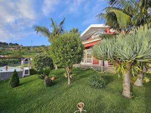 CanhasVilla River Ponta do Sol by Rentallido的棕榈树庭院和房屋