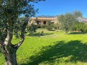 a green yard with trees and a house at Villa Aratha in Orosei