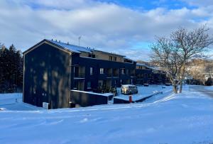un edificio nella neve con una macchina parcheggiata accanto di Luční apartmány Dobromysl a Laskavec a Černý Dŭl