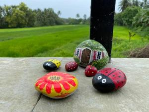 Foto sihtkohas Varca asuva majutusasutuse Nirvaan farm view galeriist