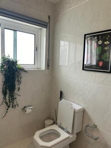 a bathroom with a toilet and a window and a plant at MAR VERDE - Parede-Cascais in Parede
