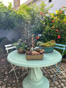 a table with several pots of plants on it at MAR VERDE - Parede-Cascais in Parede