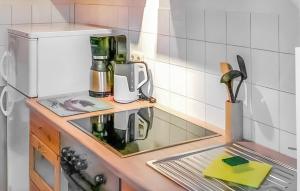 Kuchyň nebo kuchyňský kout v ubytování Ferienhaus Boitzenburger Land