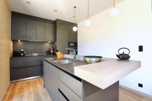 Kuchyň nebo kuchyňský kout v ubytování New modern chalet with skis on