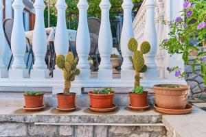 Fotografie z fotogalerie ubytování Apartment Luce v destinaci Mali Lošinj