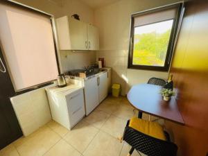 Η κουζίνα ή μικρή κουζίνα στο Apartment Neo +14 φωτογραφίες
