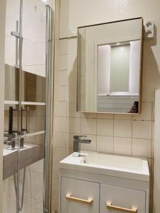 a bathroom with a sink and a mirror at Lion d'or 27 Chambre meublée et équipée centre-ville in Montluçon