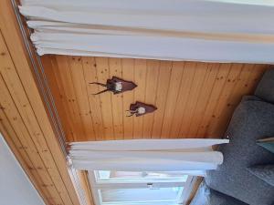 two bees on the ceiling of a room at Apartment Bergluft by Interhome in Zweisimmen