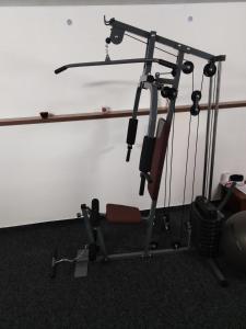 Fitness centrum a/nebo fitness zařízení v ubytování Pension Lukas