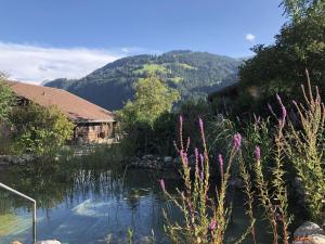 Paesaggio naturale nelle vicinanze dell'appartamento