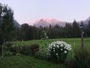 a garden with flowers in a field with mountains in the background at Apartment Trachsel-Huus by Interhome in Lenk