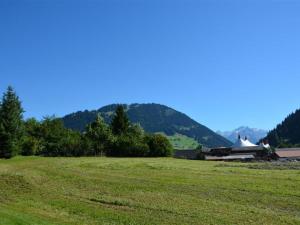 un grande campo con un fienile e montagne sullo sfondo di Apartment Jacqueline 2 by Interhome a Gstaad