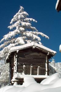 un pino coperto di neve in cima a una baita di Apartment Chalet Alpenrösli by Interhome a Saas-Almagell Altre 28 foto
