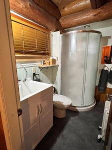 a bathroom with a toilet and a sink and a shower at Five Elements Lodge B&B with Outdoor Spa in Fernwood