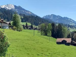 Peisaj natural din apropierea acestui apartament