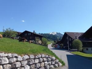 Peisaj natural din apropierea acestui apartament