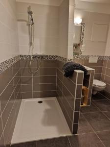 a bathroom with a shower and a toilet at L'Oustalet Des Gorges d'Ardèche Wifi et Canal Plus in Saint-Remèze