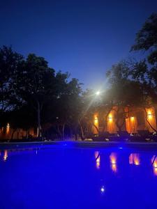 a night view of a swimming pool with blue lights at Ser Monte Hospedaje in La Población