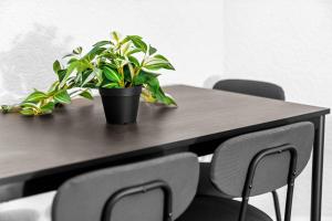 a wooden table with two plants on top of it at Chic Two Bedroom Apartment - On Street Parking Available - Netflix - Wifi - Top Rated - 311M in Birmingham +23 photos