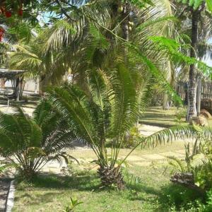 Φωτογραφία από το άλμπουμ του Hotel Costa do Sol σε Conde