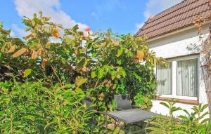 Zahrada ubytování Gorgeous Home In Waren Müritz + 9 fotografií