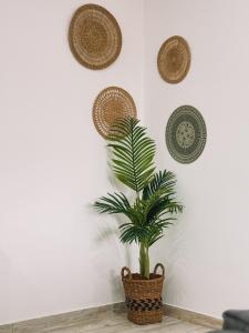 Imagem da galeria de The Green House em Alvor