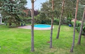 Bazén v ubytování Ferienwohnung Pruchten nebo v jeho okolí + 9 fotografií