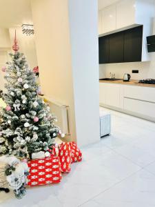 Kuchyňa alebo kuchynka v ubytovaní Wenceslas square apartment 150 m2