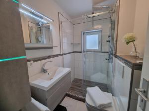 a bathroom with a sink and a shower and a toilet at Haus Peter Wohnung 4 in Sankt Andreasberg