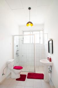 a bathroom with a shower and a toilet and a sink at Appartement Moderne Centre ville BZV in Brazzaville