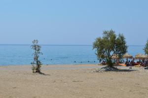 two trees on a beach with people in the water at Elli Studios & Apartments in Marathokampos