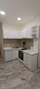 Kuchyň nebo kuchyňský kout v ubytování Venera Lux Apartman