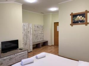 TV a/nebo společenská místnost v ubytování Budget Hotel Ekotel