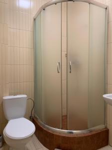 Koupelna v ubytování Budget Hotel Ekotel