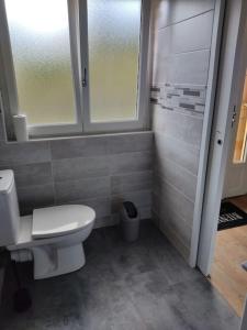 a bathroom with a toilet and a shower at Gite de caractère au coeur de la Chaine des Puys in Ceyssat