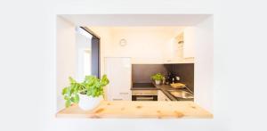 a kitchen with a potted plant on a wooden table at Wildgrün Maxi Lodge 7 in Pfronten