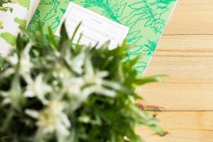 a plant sitting on a table next to a card at Wildgrün Maxi Lodge 7 in Pfronten +12 photos