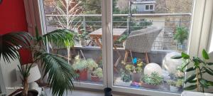 Φωτογραφία από το άλμπουμ του Studio 154 στο Φράιμπουργκ ιμ Μπράισγκαου