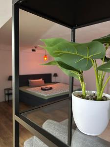 Postel nebo postele na pokoji v ubytování Gemütliches Apartment
