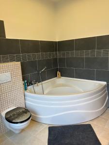 Monika's Apartman 2030 Érd, 115 Deák Ferenc utca kép - 2