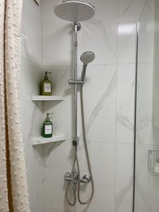 una ducha con cabezal de ducha en un baño en Ella Lux Apartment, en Skopje
