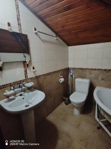 a bathroom with a sink and a toilet at Парк - Хотел Макензен in Melnik +120 photos