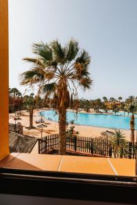 Bazén v ubytování Casa Mimi vista piscina nebo v jeho okolí