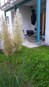Zahrada ubytování Apartment Metzingen City