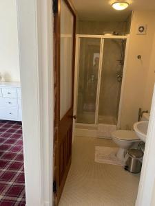 a bathroom with a shower and a toilet at 92 High Street in Aberlour +33 photos